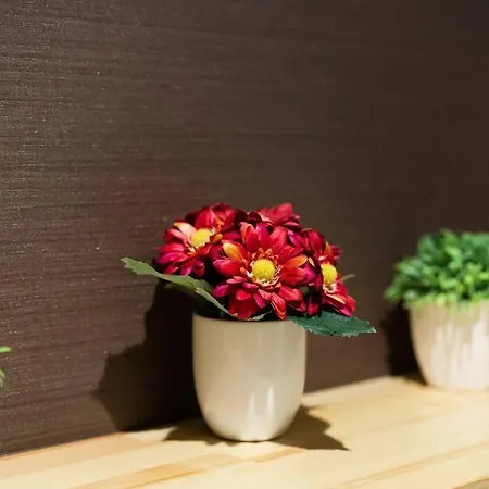 ゲストハウス至の宿 Shibainu-Themed Guesthouse Kyoto Exterior photo